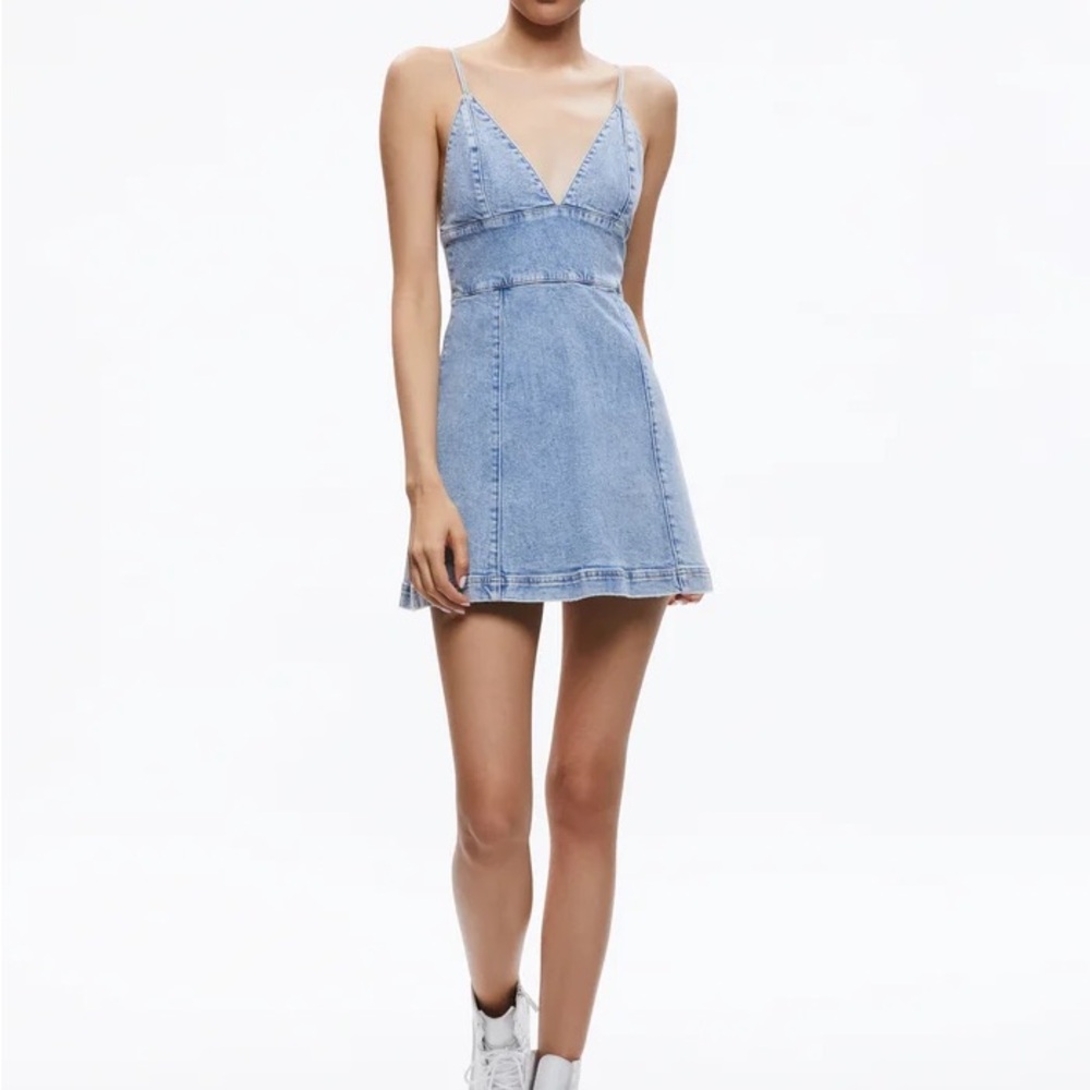 Alice + Olivia Blue Sleeveless Mini Sundress